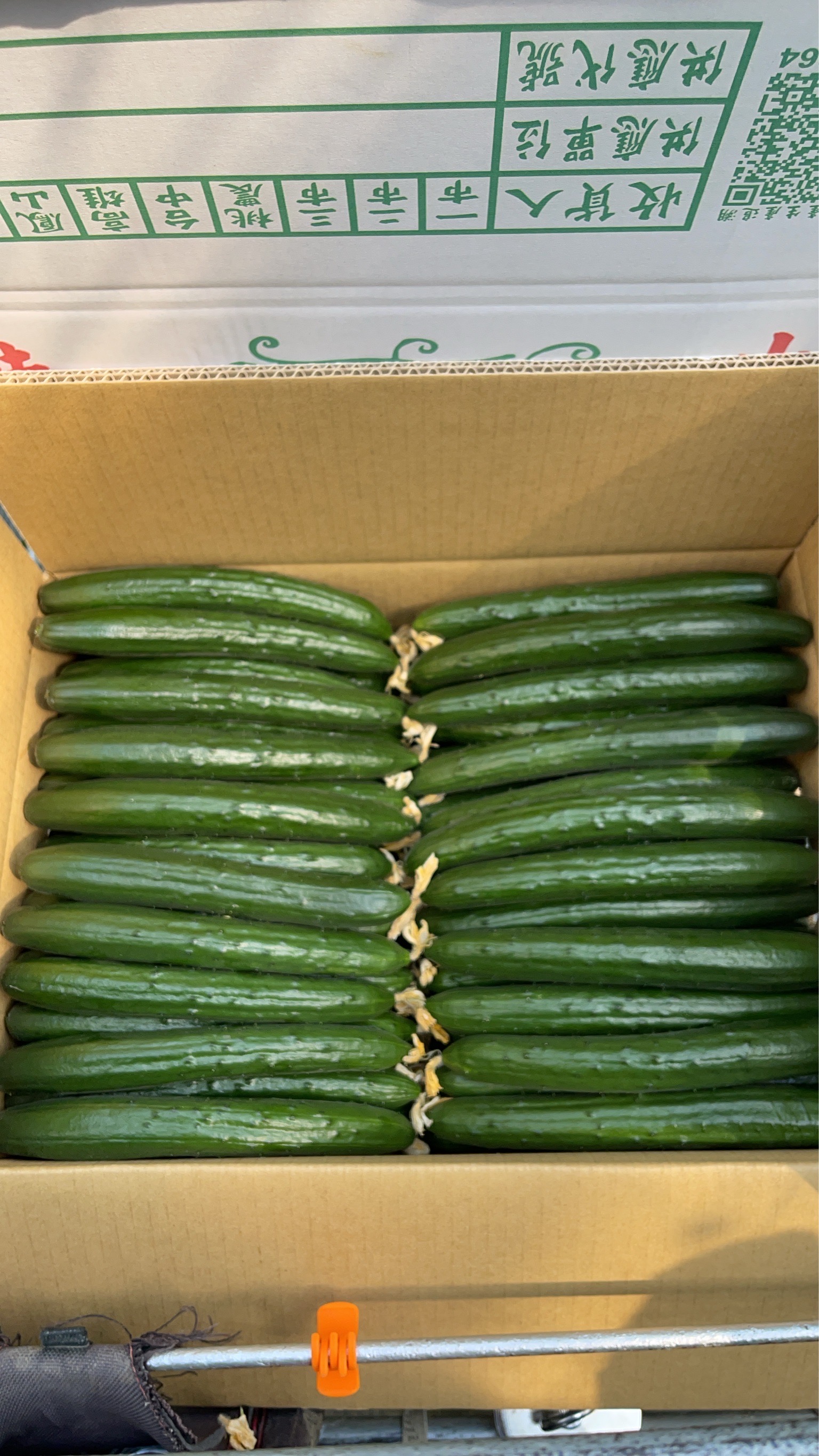 小黃瓜照片